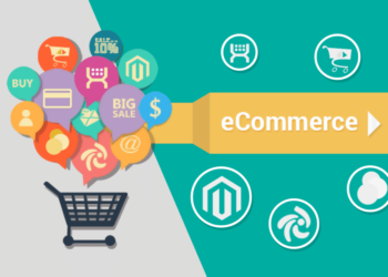 2019 US Ecommerce Paid Search Report